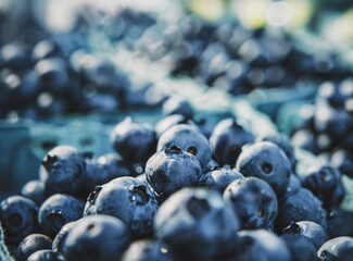 Closeup of a pile of fresh blueberries