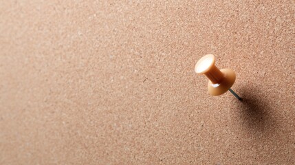 A single note nailed to a cork board, with textured paper design and fine shading, creates a clean appearance.