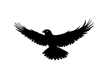 Fototapeta premium bird flying in the air silhouette
