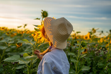 A young girl stands amidst a vibrant sunflower field during the stunning sunset hour © Николай Амосеев