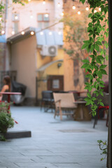 cozy outdoor yard hipster vintage design style space tender beige color walls and curly hanging...