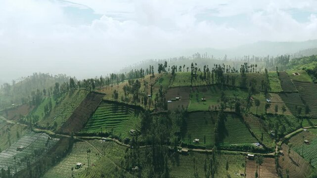 Aerial Footage of Hazy Green Terraces, East Java, Indonesia