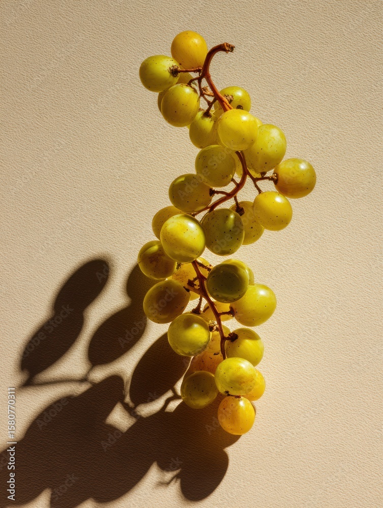 Poster grapes create an abstract spiral with shadow patterns and an open left side in an artistic arrangeme