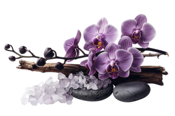 Spa treatment concept with orchids, stones, and bath salts.