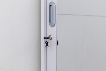 Wardrobe door handle and key hanging on the wardrobe door