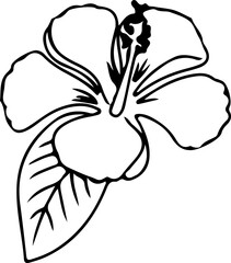 Black Hibiscus Vector Design