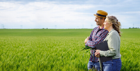 Side view of two farmers standing in wheat field examining crop yield.