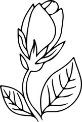vector illustration of a lotus flower