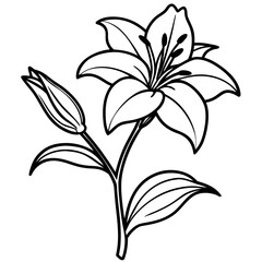 Elegant lily stem with delicate side bloomed flowers on a clean white background