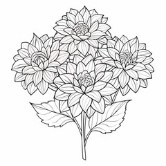 Delicate dahlia flower bunch illustrated with soft contour lines on white background