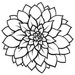 Delicate dahlia flower bunch depicted with soft contour lines on a clean white background