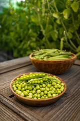 Bowl full of fresh green peas