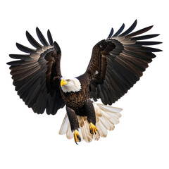 Fototapeta premium Bald Eagle in Mid-Swoop with Extended Talons, isolated on transparent background