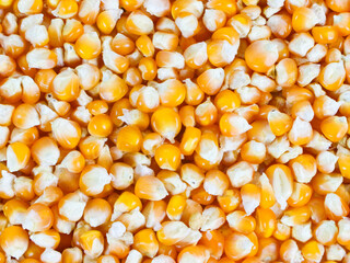 dry uncooked corn background - top view, flat lay. scattered raw corn. asian cuisine and culture. healthy eating ingredients. diet food.