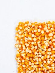 top view of isolated white background dry raw corn kernels with empty space for advertisment