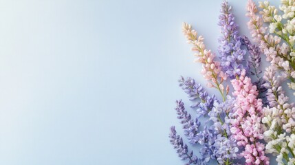 Obraz premium Delicate pastel flowers arranged on a light blue background.