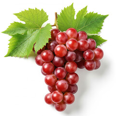 Fototapeta premium bunch of red currants
