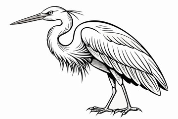coloring page line art the egret black vector