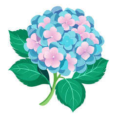 Beautifully illustrated cluster of hydrangeas with lush thick leaves