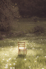 Stuhl in der Wiese