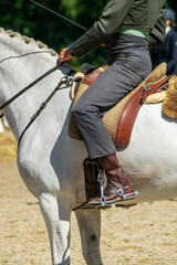 side view of a person riding a white horse in traditional equestrian attire