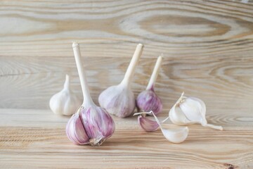 Garlic and head of garlic on wooden background. Organic farm garlic. Healthy food concept.