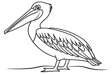 coloring page line art the pelican black vector