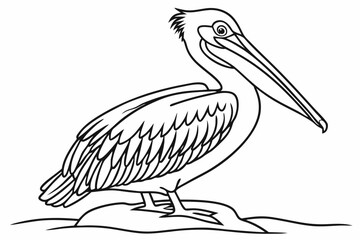 coloring page line art the pelican black vector