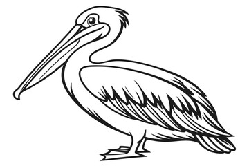 coloring page line art the pelican black vector