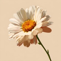 Naklejka premium Vector Drawing of Daisy Flower | Hand-Drawn Botanical Illustration in Minimal Line Art Style
