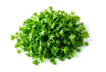 Obraz premium A vibrant mound of fresh arugula leaves, bright green and crisp, isolated against a pure white backdrop, vegetarian, rucola