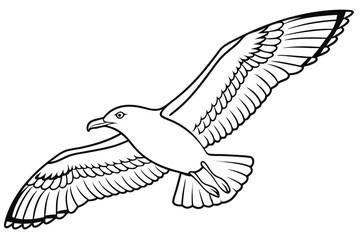 coloring page line art the seagull black vector