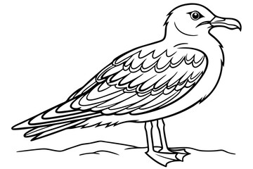 coloring page line art the seagull black vector