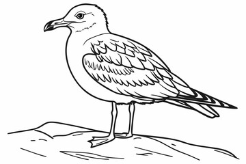 coloring page line art the seagull black vector