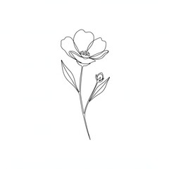 Minimalist Flower Line Art Illustration | Floral Drawing for Design