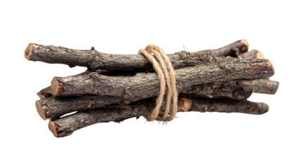 Bundle of sticks tied with rope, white isolate background.