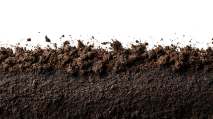 Close-up view of rich, dark soil with texture and details, isolated on a black background.