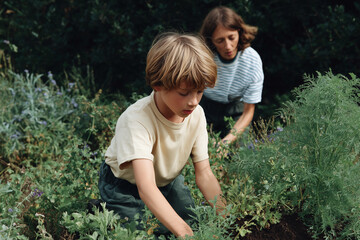 Child helping adult in a garden during summer