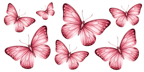 Obraz premium Pink butterflies isolated on transparent background 