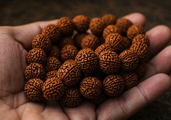 Extreme Close Up Macro Shot of Textured Rudraksha Beads Held in Hand for Spiritual Meditation