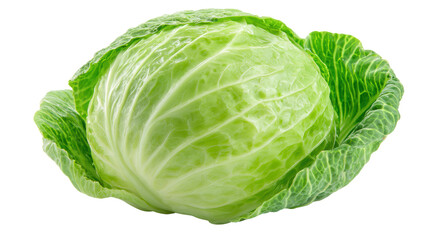 Obraz premium Fresh green cabbage, organic produce, isolated on a white background.