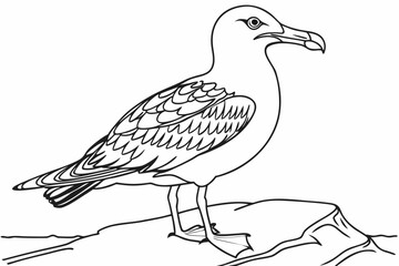 coloring page line art the albatross black vector