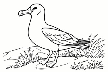 coloring page line art the albatross black vector