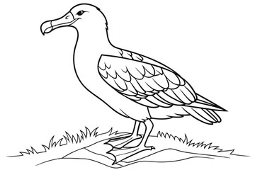 coloring page line art the albatross black vector