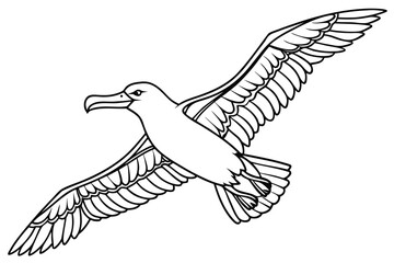 coloring page line art the albatross black vector