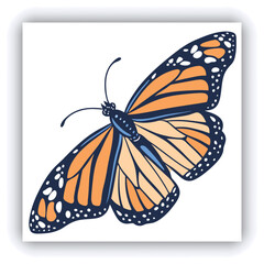 Beautiful monarch butterfly isolated on white background. Set of Big Monarch butterflies, isolated on white background. Tawny Coster (Acraea violae) Acraea terpsicore.