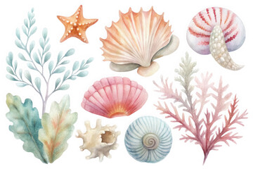Obraz premium Watercolor collection of assorted seashells and marine life isolated on transparent background