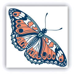 Beautiful monarch butterfly isolated on white background. Set of Big Monarch butterflies, isolated on white background. Tawny Coster (Acraea violae) Acraea terpsicore.