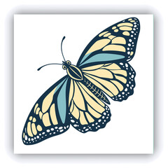 Beautiful monarch butterfly isolated on white background. Set of Big Monarch butterflies, isolated on white background. Tawny Coster (Acraea violae) Acraea terpsicore.