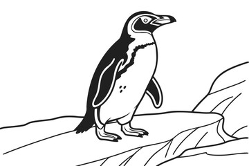 coloring page line art the penguin black vector